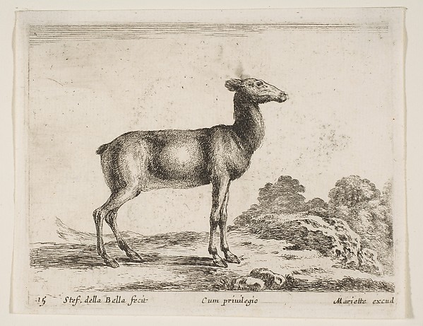 Doe, plate 15 from "Various Animals" (Diversi Animali)