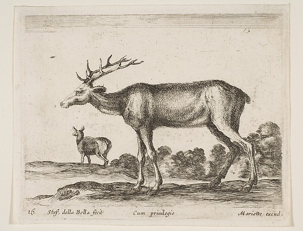 Stag, plate 16 from "Various Animals" (Diversi Animali)