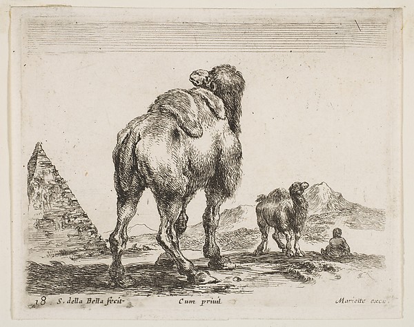 Camel viewed from behind with pyramid at left, plate 18 from "Various Animals" (Diversi Animali)