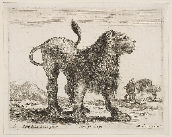 Lion, plate 6 from "Various Animals" (Diversi Animali)