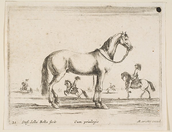 Horse, plate 21 from "Various Animals" (Diversi Animali)