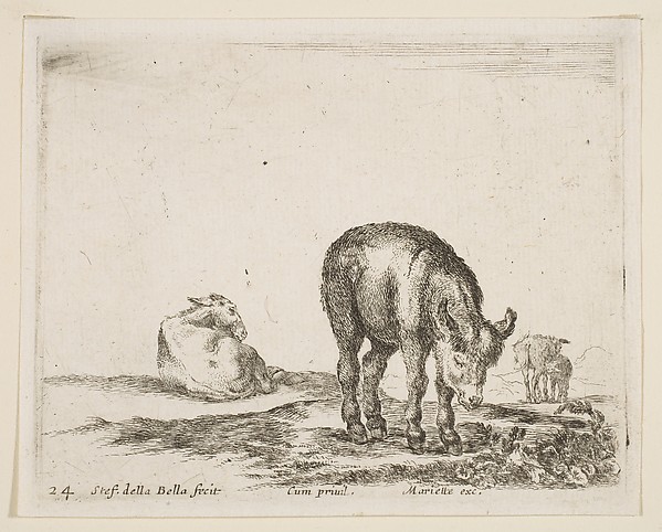 Donkeys, plate 24 from "Various Animals" (Diversi Animali)