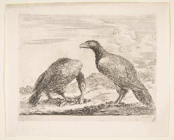 Two eagles, one devouring a lamb, from 'Eagles'  (Les aigles)