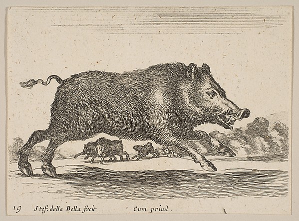 Plate 19: Wild Boar, from "Various animals" (Diversi animali)