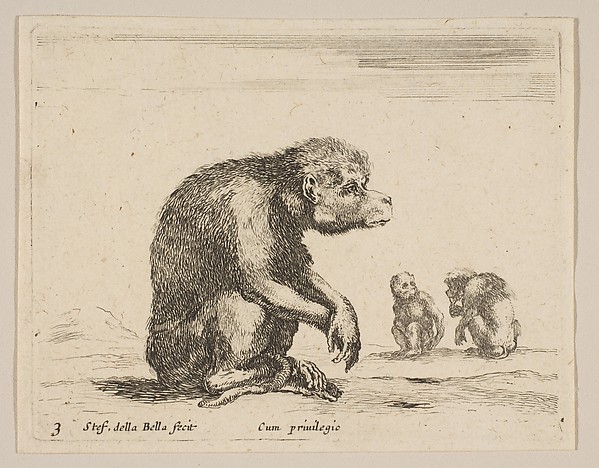 Plate 3: seated monkey, from "Various animals" (Diversi animali)