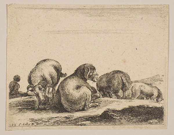 Plate 12: Sheep and ram in a pasture, from "Various animals" (Diversi animali)