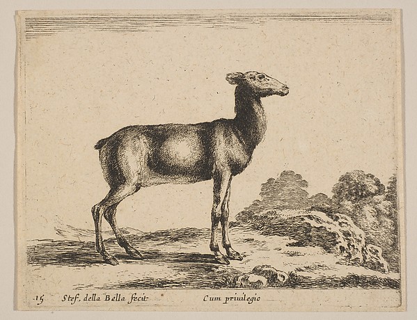 Plate 15: Doe, from "Various animals" (Diversi animali)