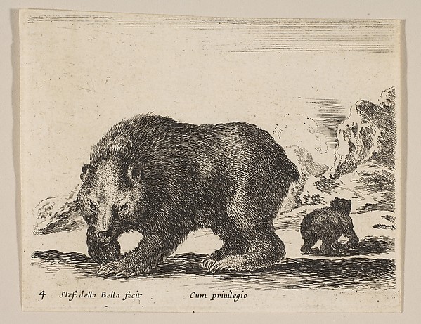 Plate 4: Bear, from "Various animals" (Diversi animali)