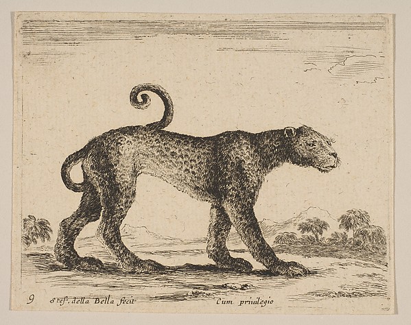 Plate 9: Leopard, from "Various animals" (Diversi animali)