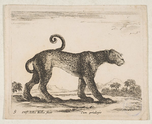 Plate 9: Leopard, from "Various animals" (Diversi animali)