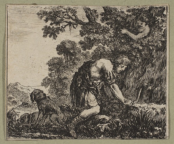 Narcisse