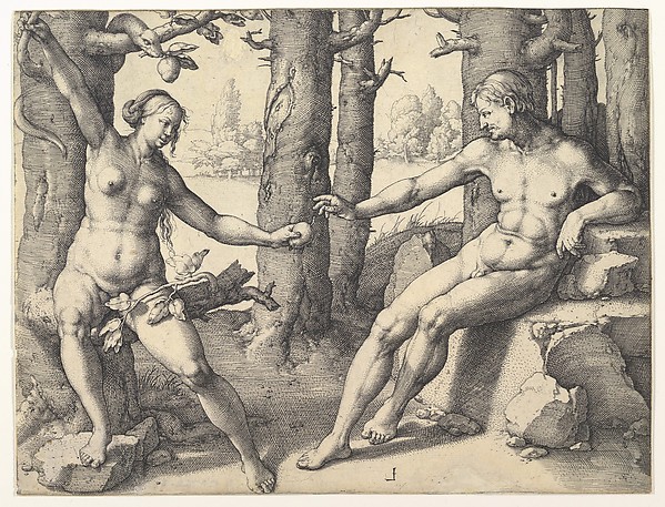 Fall of Man