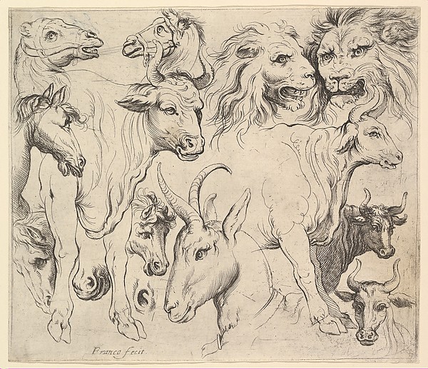 Studies of Heads