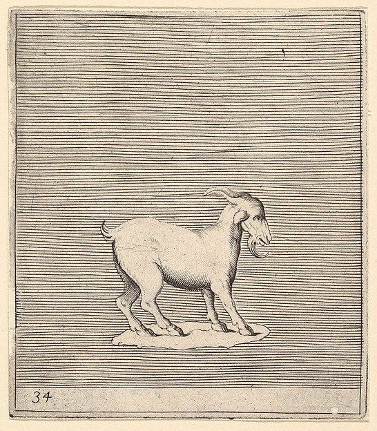 Ram, from "Ex Antiquis Cameorum et Gemmae Delineata"