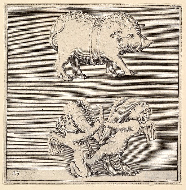 A Belted Pig and Two Cupids (or Geniuses) with a Butterfly (or Moth), from "Ex Antiquis Cameorum et Gemmae Delineata/ Liber Secundus/et ab Enea Vico Parmen Incis"
