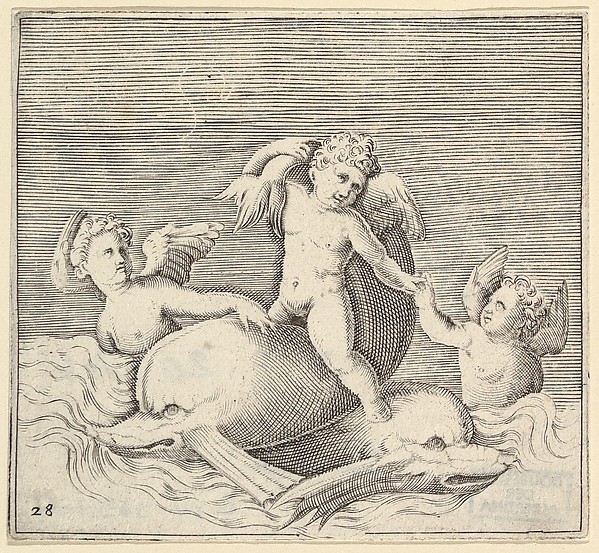 Three Cupids and Two Dolphins, from "Ex Antiquis Cameorum et Gemmae Delineata/ Liber Secundus/et ab Enea Vico Parmen Incis"