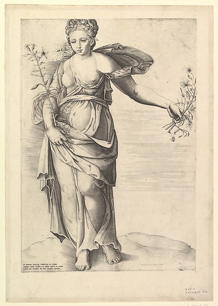 Speculum Romanae Magnificentiae: Flora