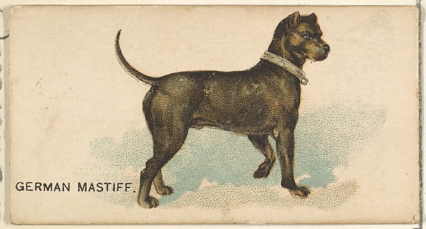 German Mastiff, from the Dogs of the World series for Old Judge Cigarettes by Goodwin & Company, The Metropolitan Museum of Art