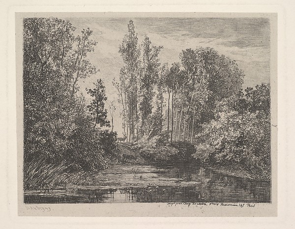 Stags at the Water's Edge