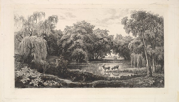 The Deer Pond