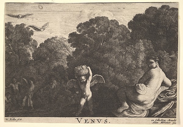 Realm of Venus