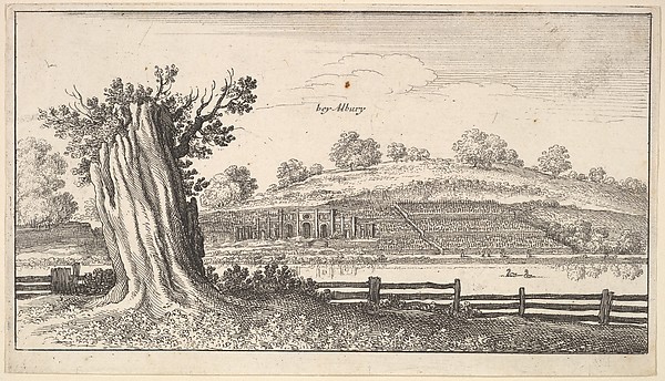 Albury with tree-stump in foreground