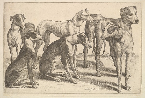 Six Hounds