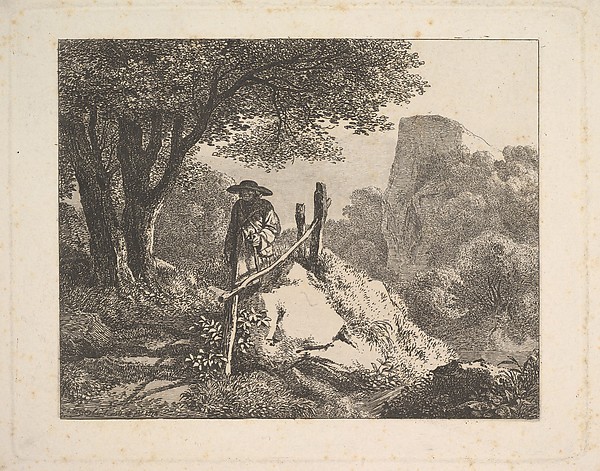 A Shady Enclosure of Trees