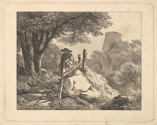 A Shady Enclosure of Trees