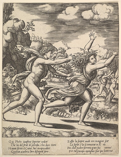Apollo chasing Daphne who throws her arms up, in the background at right shows the moment she turns in a laurel, from "Story of Apollo and Daphne"