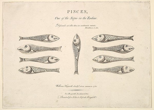 Pisces: Hogarth's Quadrille Fish