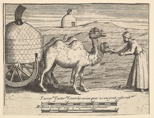 Two Dromedaries (Aubry de La Mottraye's "Travels throughout Europe, Asia and into Part of Africa...,"  London, 1724, plate 314)