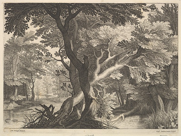 Wooded landscape
