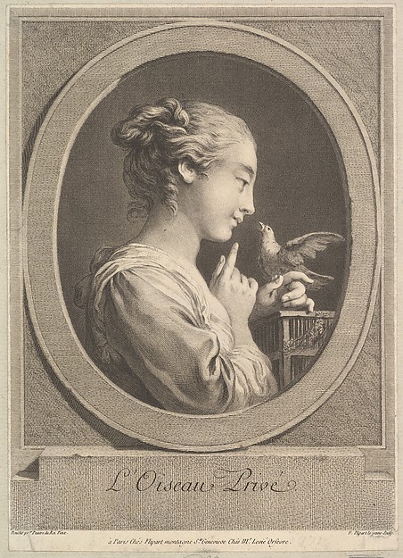 The Tamed Bird