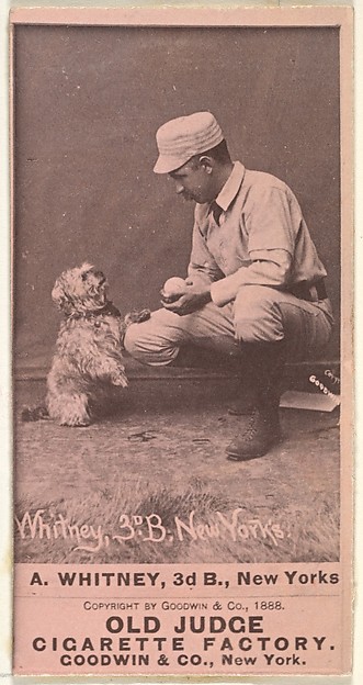 Arthur "Art" Wilson Whitney, 3rd Base, New York, from the Old Judge series (N172) for Old Judge Cigarettes by Goodwin & Company, The Metropolitan Museum of Art
