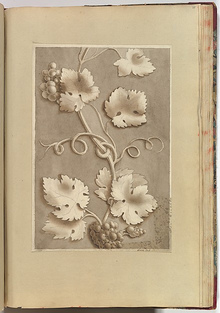 Grapes and Vine-leaves
