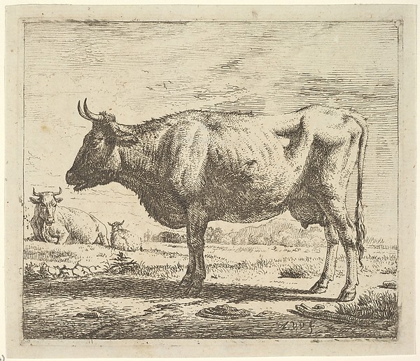 Two Cows and a Sheep, from Different Animals