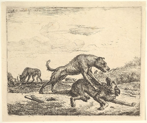 Fighting Dogs, from Different Animals