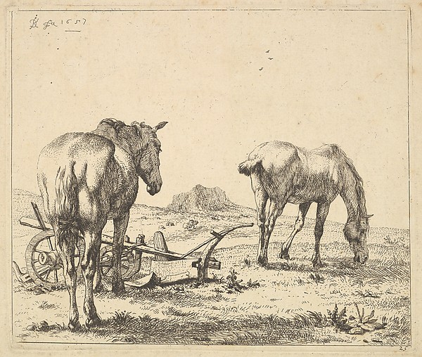 Les deux chevaux près de la charrue