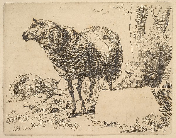 from The Set of Sheep