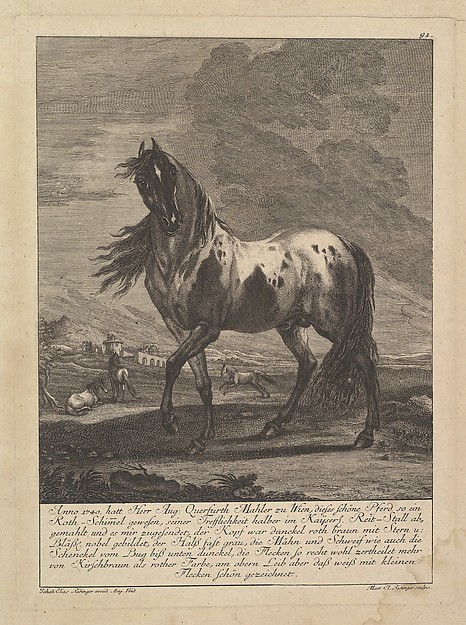 Horse