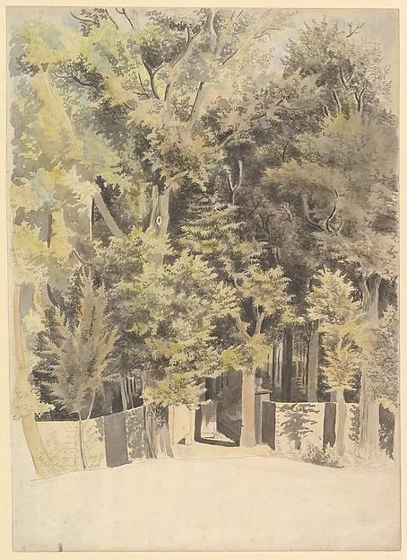 Trees by an Entrance to a Park