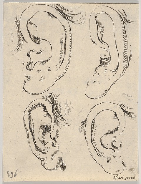Plate 5: four ears, from 'The Book for Learning to Draw' (Livre pour apprendre à dessiner)