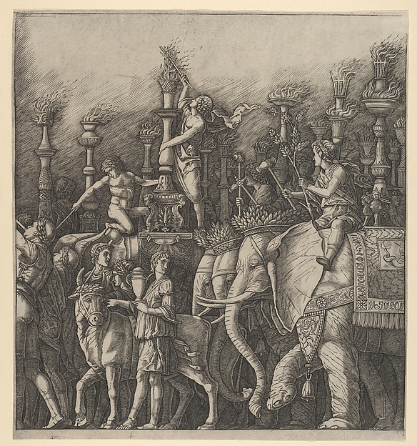 The Triumph of Caesar: the Elephants