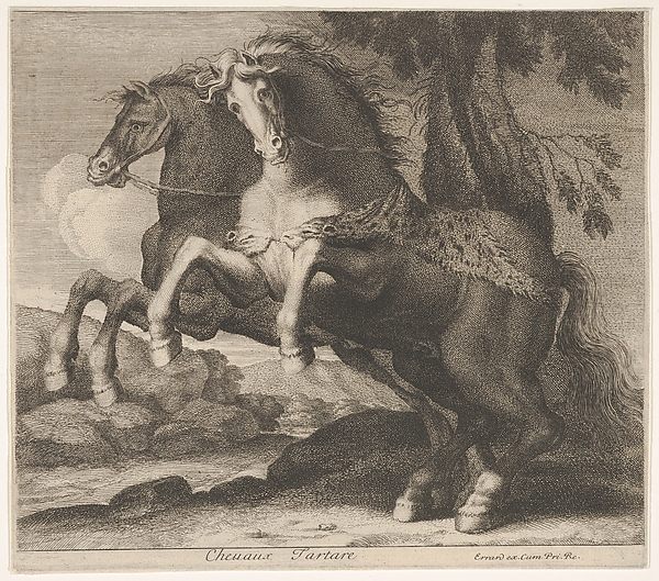 Chevaux Tartare