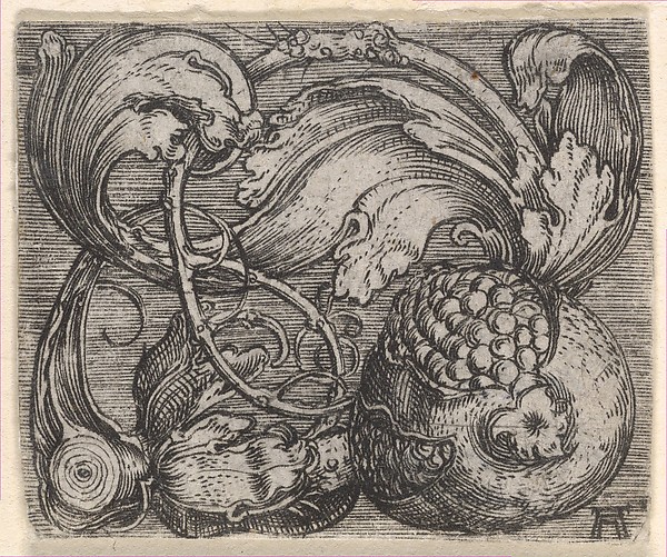 Pomegranate with Tendril