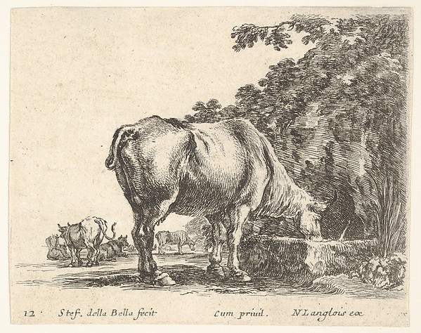 Plate 12: a cow drinking from a stone trough, other cows to left in background, from 'Diversi capricci'