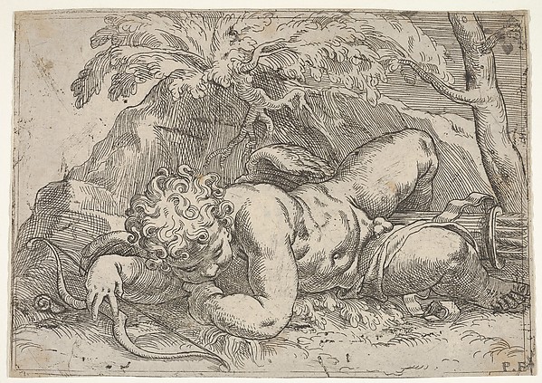 Sleeping Cupid