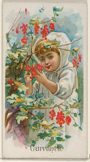 Currants, from the Fruits series (N12) for Allen & Ginter Cigarettes Brands