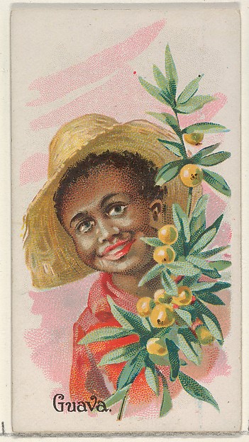 Guava, from the Fruits series (N12) for Allen & Ginter Cigarettes Brands